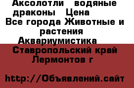 Аксолотли / водяные драконы › Цена ­ 500 - Все города Животные и растения » Аквариумистика   . Ставропольский край,Лермонтов г.